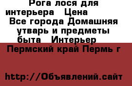 Рога лося для интерьера › Цена ­ 3 300 - Все города Домашняя утварь и предметы быта » Интерьер   . Пермский край,Пермь г.
